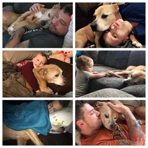 Meet your Posher, Daryl